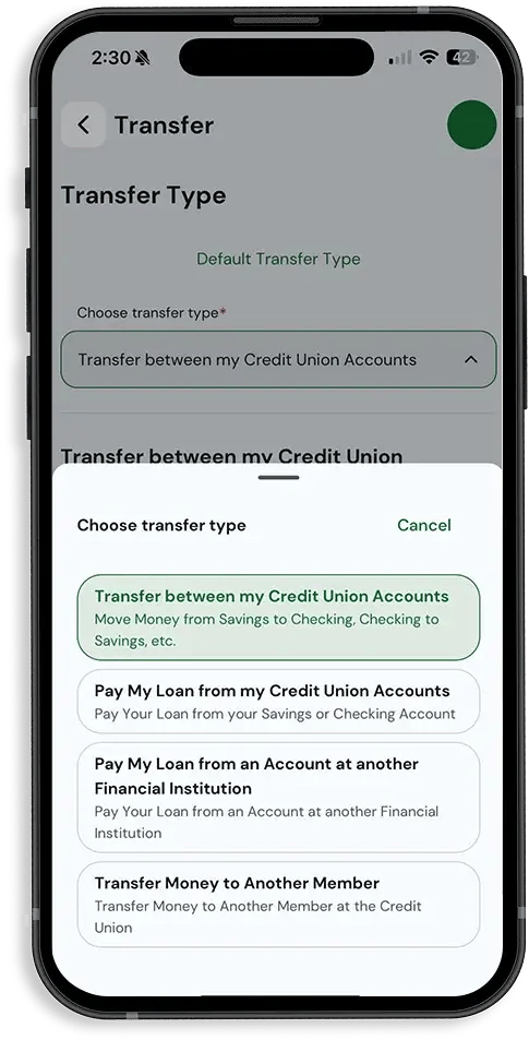 Transfer Money